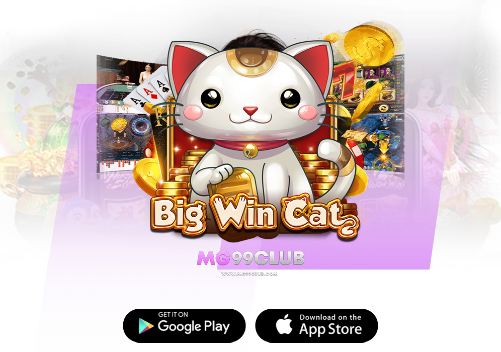 cat slot รวมเกมส์ให้คุณเดิมพันเหนือใคร